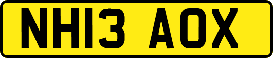 NH13AOX