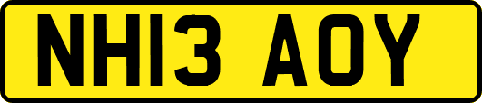 NH13AOY