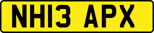 NH13APX