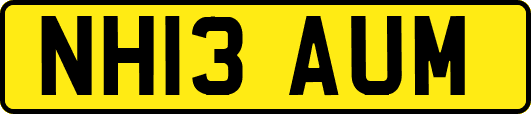 NH13AUM