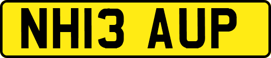 NH13AUP