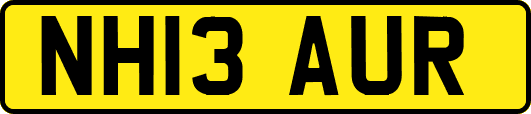 NH13AUR