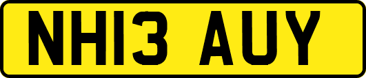 NH13AUY