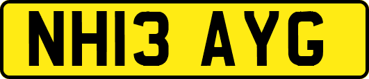 NH13AYG