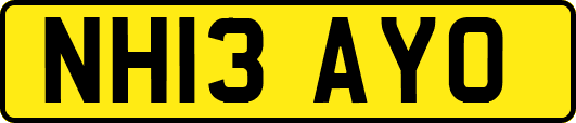 NH13AYO