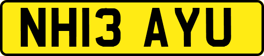 NH13AYU