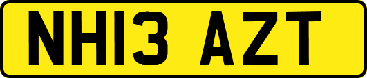 NH13AZT