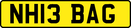NH13BAG