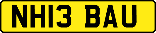 NH13BAU