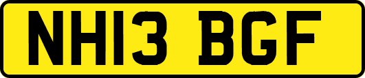 NH13BGF