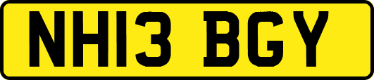 NH13BGY