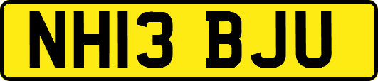 NH13BJU