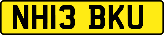 NH13BKU