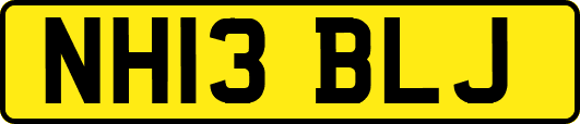 NH13BLJ