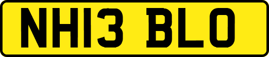 NH13BLO