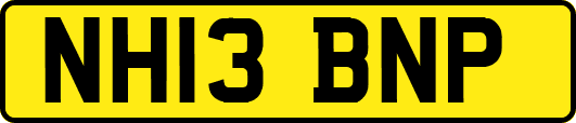 NH13BNP