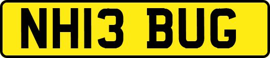 NH13BUG