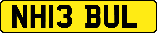 NH13BUL