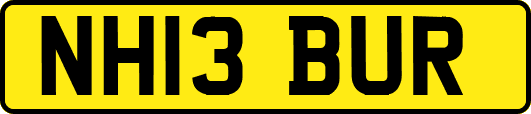 NH13BUR