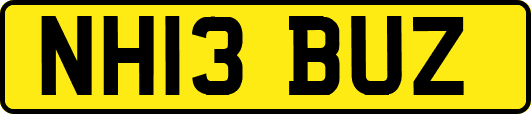 NH13BUZ