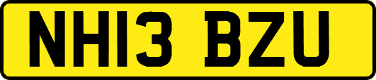 NH13BZU
