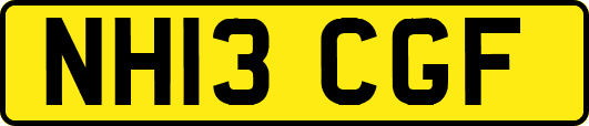 NH13CGF