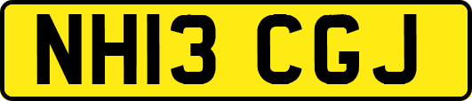 NH13CGJ