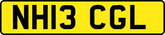 NH13CGL