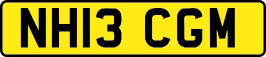 NH13CGM