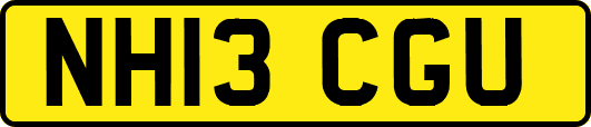 NH13CGU