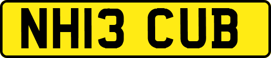 NH13CUB