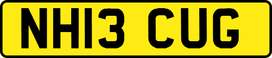 NH13CUG