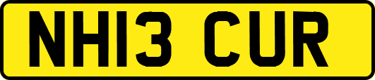 NH13CUR