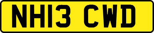 NH13CWD