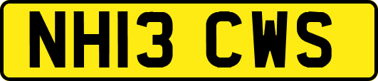 NH13CWS