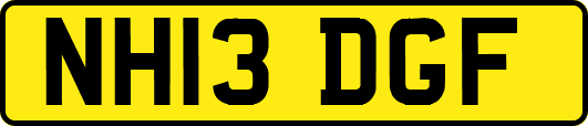 NH13DGF
