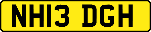 NH13DGH