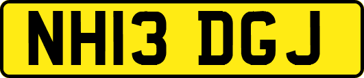 NH13DGJ