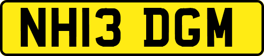NH13DGM