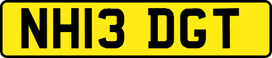 NH13DGT