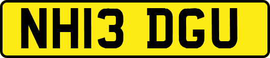 NH13DGU