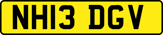 NH13DGV