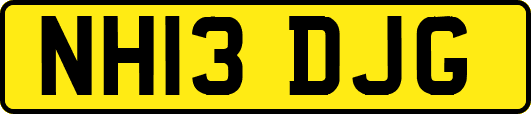 NH13DJG