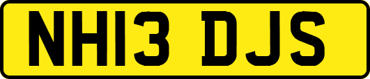 NH13DJS