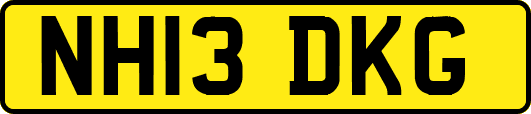 NH13DKG