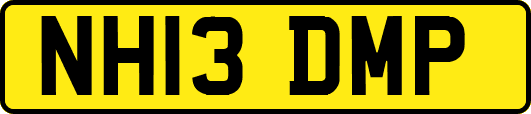 NH13DMP