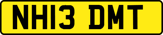 NH13DMT