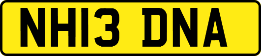 NH13DNA