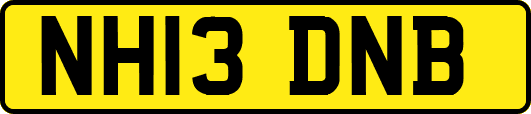 NH13DNB