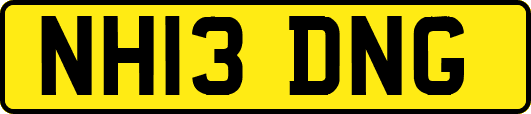 NH13DNG